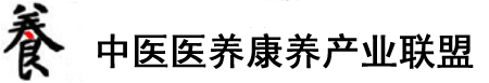 黄色塞鸡在线视频